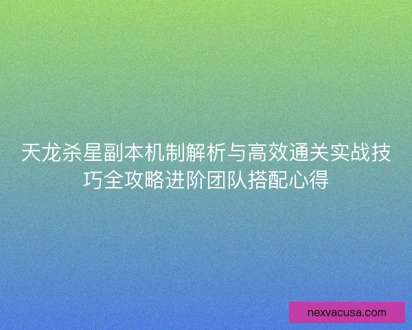 天龙杀星副本机制解析与高效通关实战技巧全攻略进阶团队搭配心得